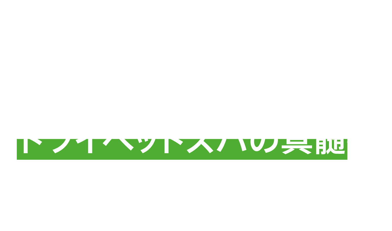 cucoのドライヘッドスパ ドライヘッドスパの真髄を体験してください
