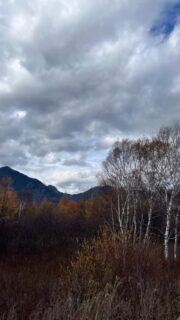 隠れ家cuco（くこ）です
11/2紅葉を巡って

赤城大沼から
丸沼高原の真っ赤なモミジ

日光湯滝
戦場ヶ原

長男と三人で

渡瀬鉄道駅でお風呂に入り
締めは

本庄あうん
美味しい食事とお酒で
酔いしれて

皆様
どうぞ良き一日をお過ごしください

完全予約制の小さなサロン
丁寧に丁寧に
ココロと頭のコリをほぐします

伊勢崎のすみっこ
小さなサロンでお待ちしてます

▽ご予約▽
TEL:080-3574-7700

LINEでも可能です
※LINE友達追加はプロフィールにリンクのHPよりお願いします。

#ドライヘッドスパ 
#リラクゼーション 
#リフレクソロジー 
#癒し #紅葉