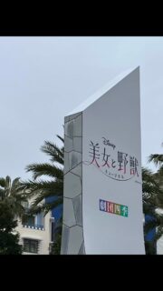 隠れ家cuco（くこ）です。
初めての劇団四季

わくわく

ほんと楽しい
#長男 から
#プレゼント 
帰りは#南越谷 で呑む