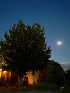 隠れ家cuco（くこ）です
満月🌕なのかしら

満月ってなんだか
ゾクゾクします

アシュタンガヨガでは
ムーンデイと呼ばれ
お休みする日と言われています

怪我のリスク
呼吸が浅くなる
感情の不安定さ
体内水分の活性化etc

それは
エネルギーが満ち過ぎて
コントロールを失うからとも言われています

確かに
ザワザワゾクゾクと
どこかに
行ってしまいたい衝動に駆られます

これは
私だけでしょうか

なんとも
月の光は魅力的です

皆様
どうぞ素敵な一日をお過ごしください

完全予約制の小さなサロン

丁寧に丁寧に
ココロと頭のコリをほぐします

伊勢崎のすみっこ
小さなサロンでお待ちしてます

▽ご予約▽
TEL:080-3574-7700

LINEでも可能です
※LINE友達追加はプロフィールにリンクのHPよりお願いします。

#ドライヘッドスパ 
#リラクゼーション 
#リフレクソロジー  #伊勢崎 #本庄